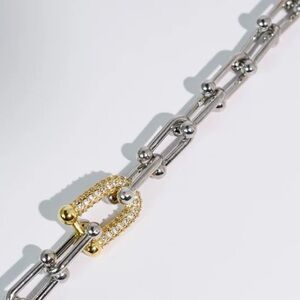 Two-Tone Horsebit Chain Necklace NWT